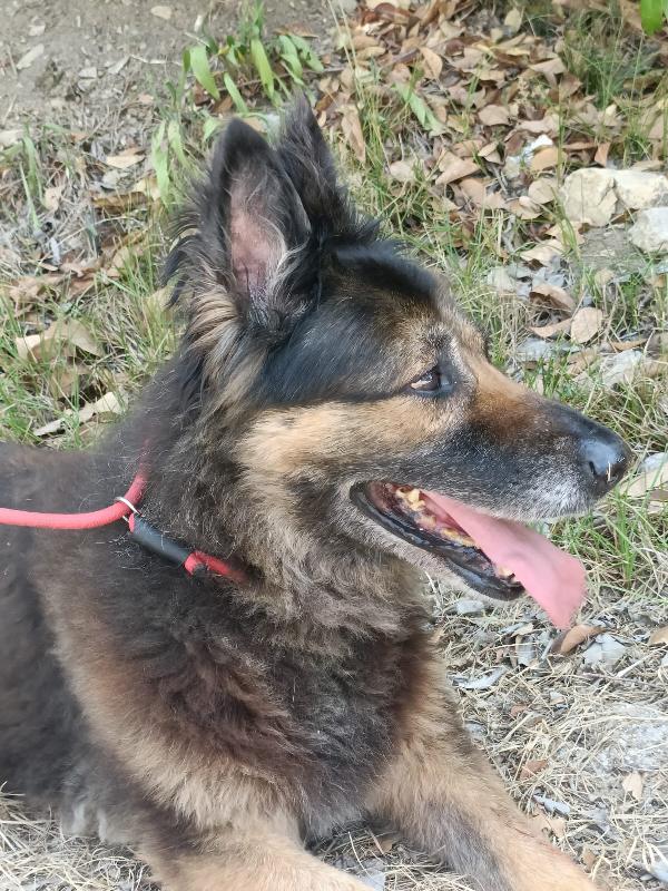Taila Foto 11